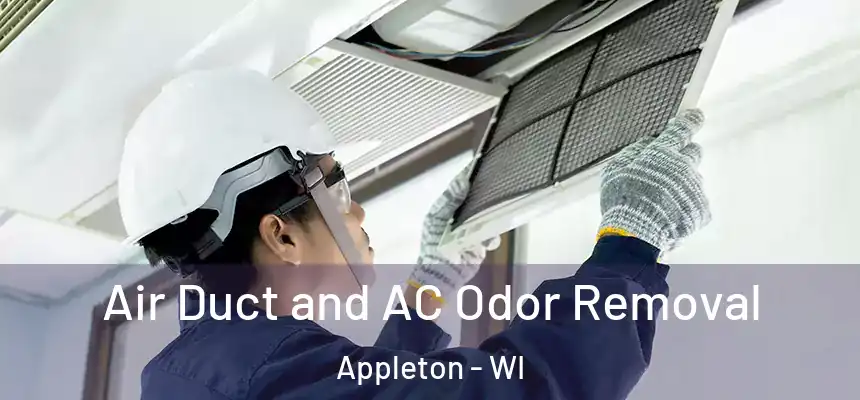 Air Duct and AC Odor Removal Appleton - WI