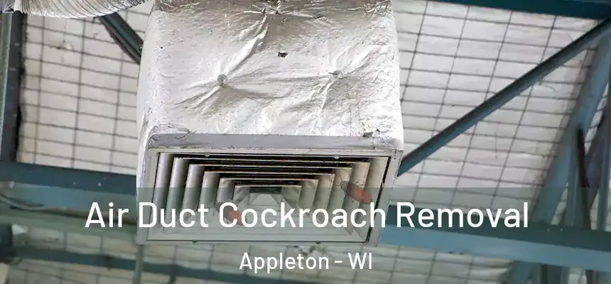 Air Duct Cockroach Removal Appleton - WI