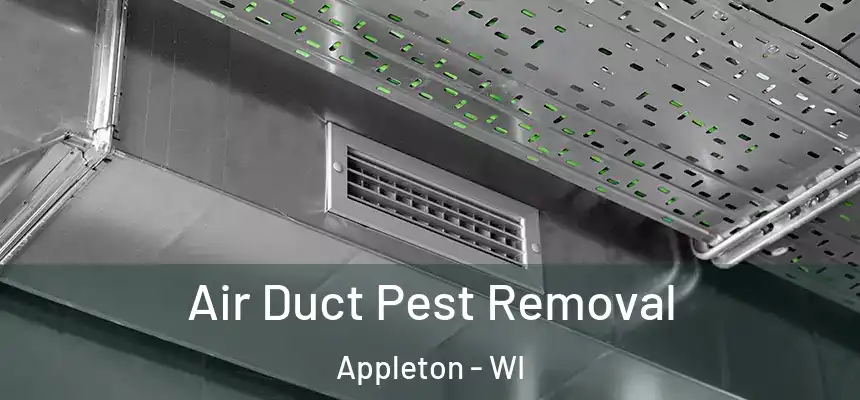 Air Duct Pest Removal Appleton - WI