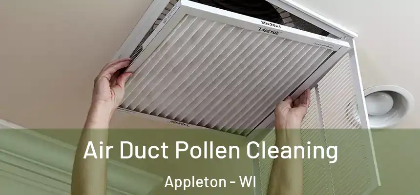 Air Duct Pollen Cleaning Appleton - WI