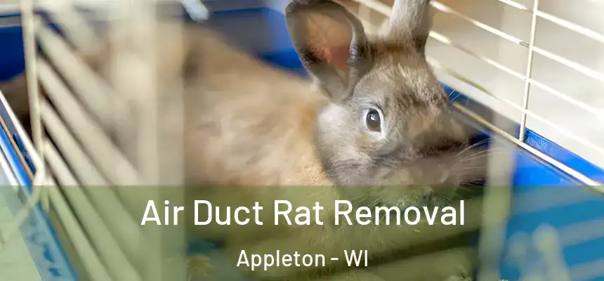Air Duct Rat Removal Appleton - WI