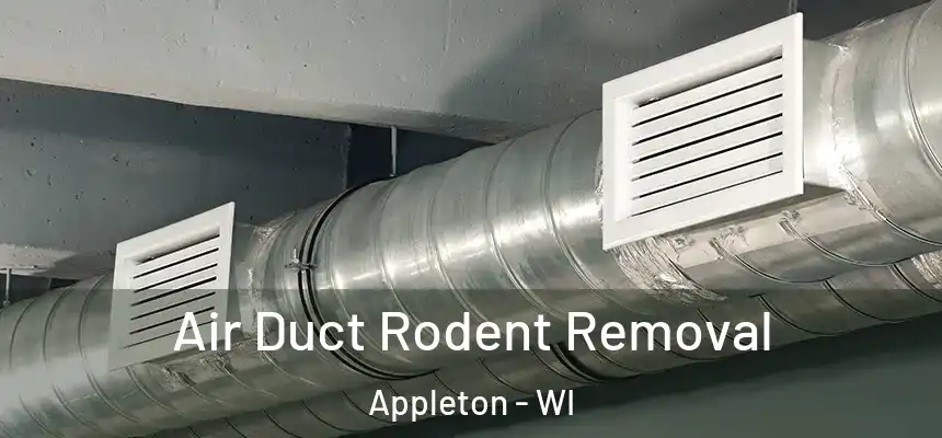 Air Duct Rodent Removal Appleton - WI