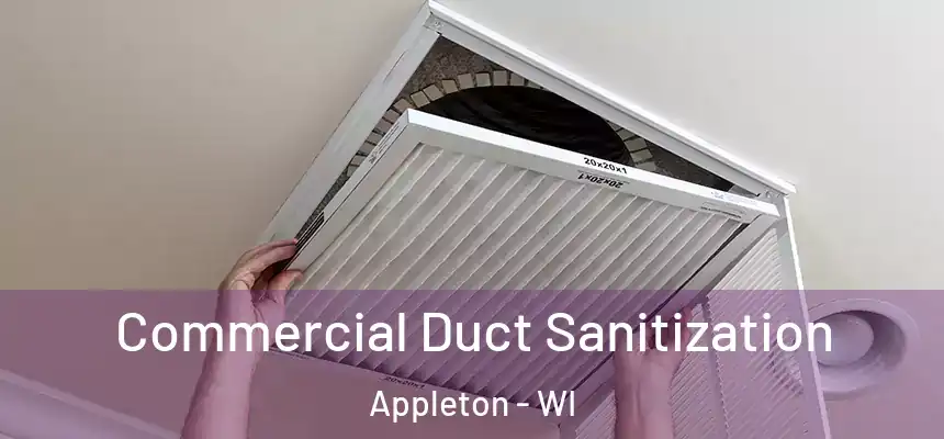 Commercial Duct Sanitization Appleton - WI