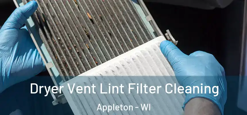 Dryer Vent Lint Filter Cleaning Appleton - WI