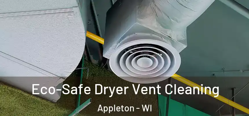 Eco-Safe Dryer Vent Cleaning Appleton - WI