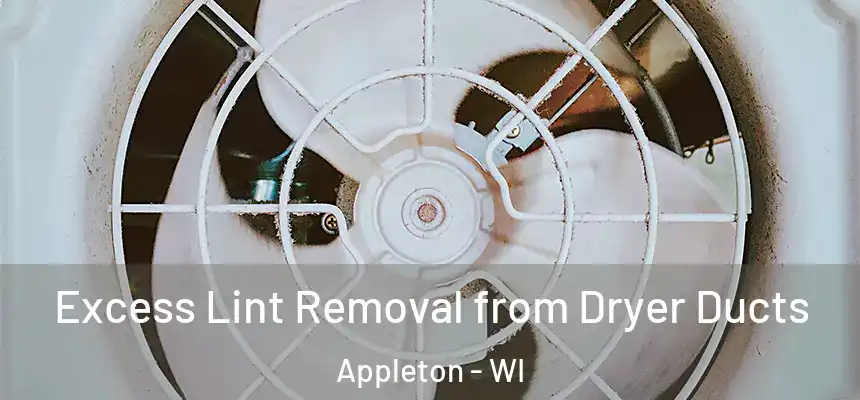 Excess Lint Removal from Dryer Ducts Appleton - WI