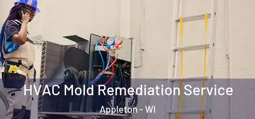 HVAC Mold Remediation Service Appleton - WI