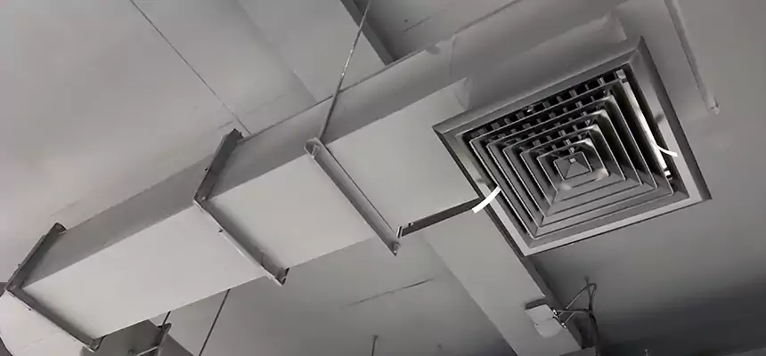 Our Pest Removal From Ducts Services in Appleton, WI