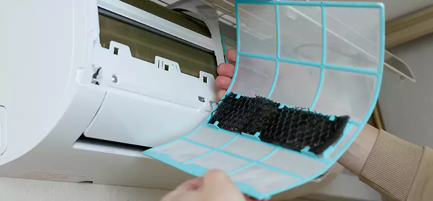 Gentle Ductwork Odor-Control Pet Dander Duct Cleaning in Appleton, WI