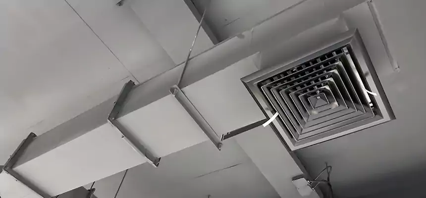 Our Rodent Droppings In Vents Services in Appleton, WI