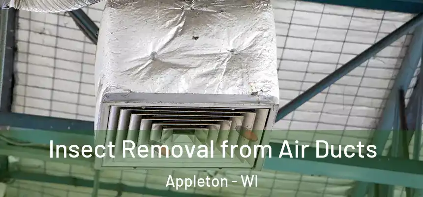 Insect Removal from Air Ducts Appleton - WI