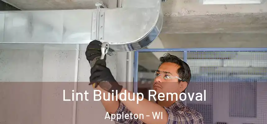 Lint Buildup Removal Appleton - WI
