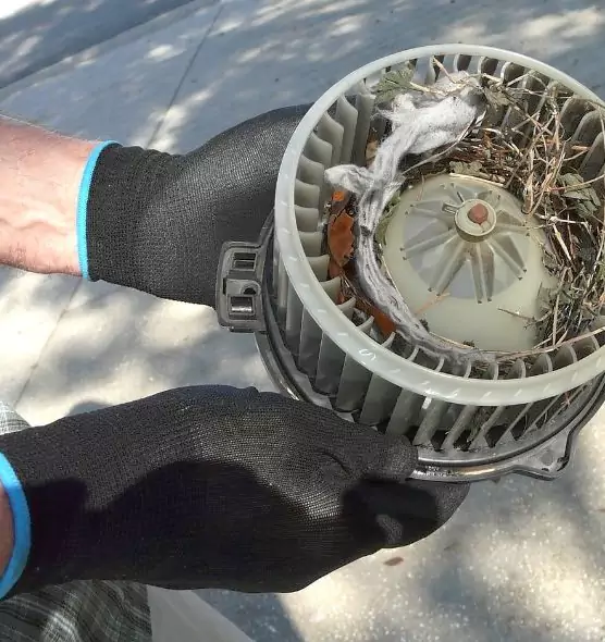 About Air Duct Rat Removal in Appleton, WI