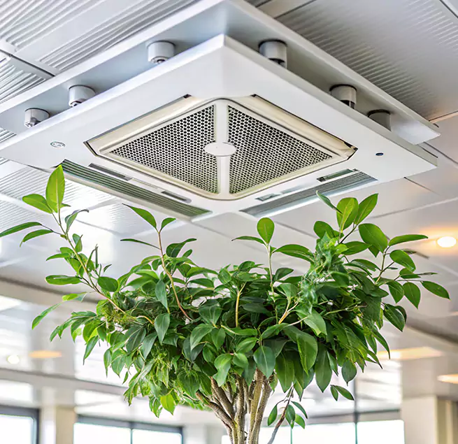 Why Homeowners & Businesses Trust Us in Appleton, WI