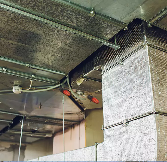 Why Homeowners & Businesses Trust Us Appleton, WI?