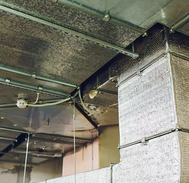 Why Homeowners & Businesses Trust Us in Appleton, WI?