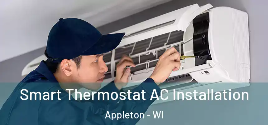 Smart Thermostat AC Installation Appleton - WI